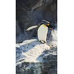 Hotel Il Fiore Kasai - Vacation Stay 26860V